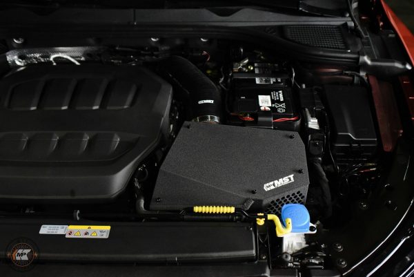 MST Intake, Volkswagen Golf GTI MK8 (Audi, Skoda, Seat 245hp)-4