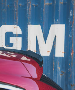 Spoilerilippa Citroen DS4, Maxton-3