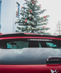 Spoilerilippa Citroen DS4, Maxton